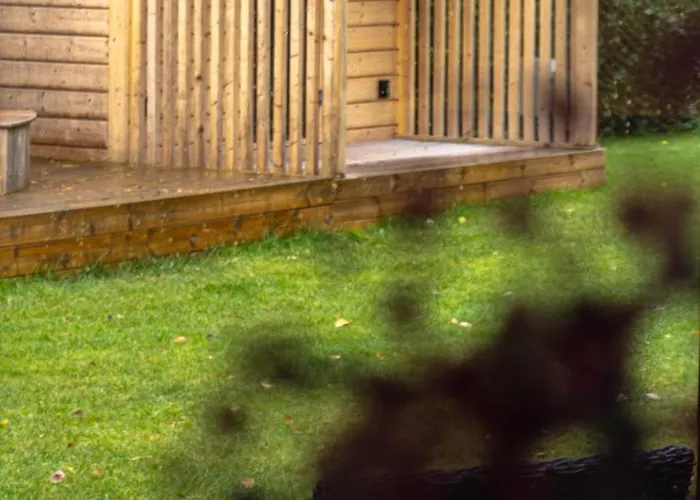 Trzy Zywioly 萨希诺